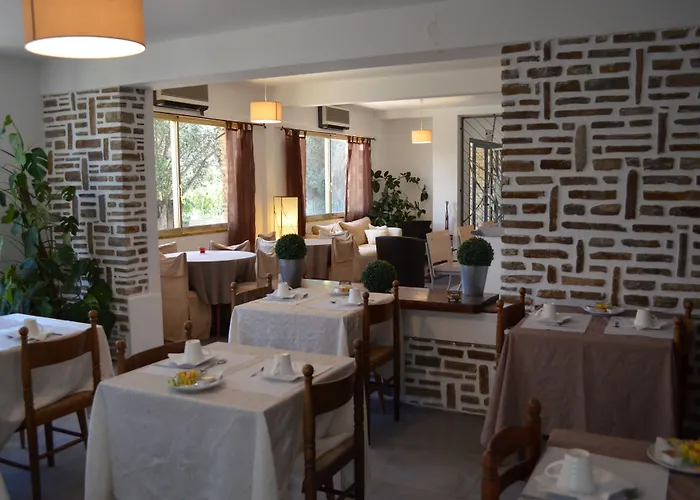 L'aiglon Bylitis Porto-Vecchio (Corsica)